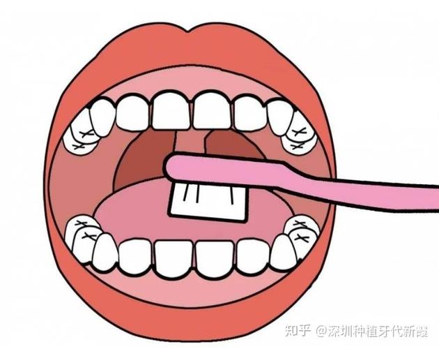 刷牙要刷舌头吗